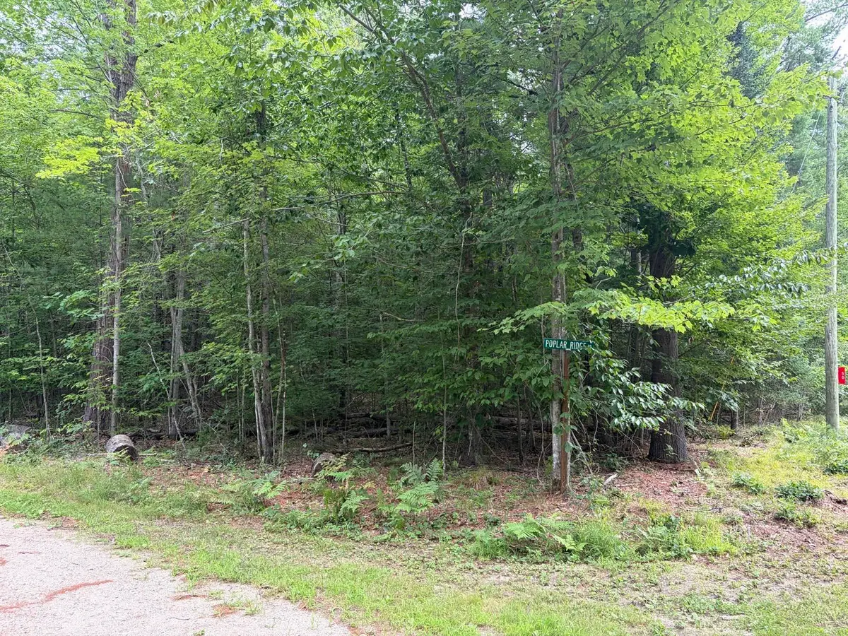 00 Milford Avenue, Freedom, NH 03836 - #1