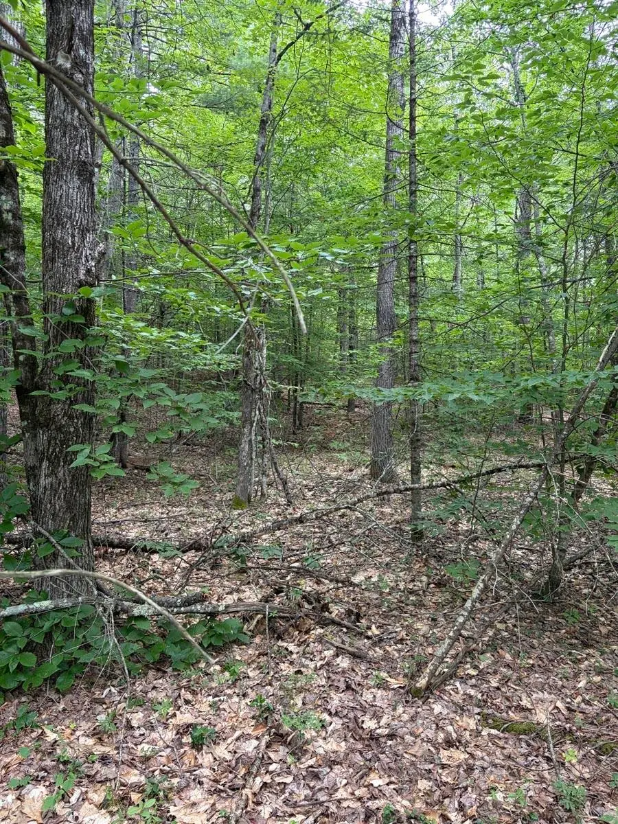 00 Milford Avenue, Freedom, NH 03836 - #3