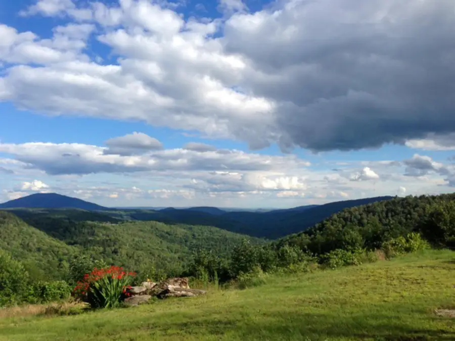 1783 Stone Chimney Road, Reading, VT 05062 - #2