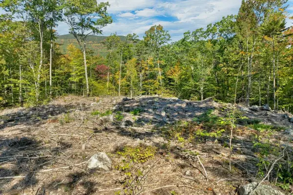 Lot 22 Mt Israel Road, Sandwich, NH 03227