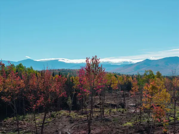 24 Franklin Lane, Whitefield, NH 03598