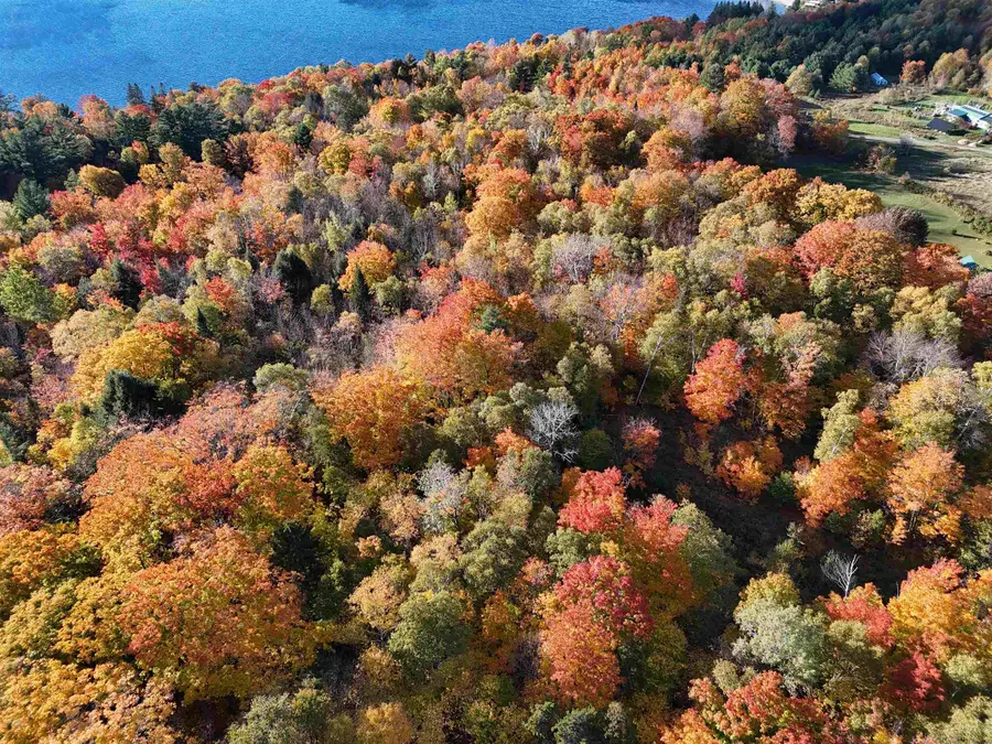 71 Overlook Lane, Westmore, VT 05860 - #3