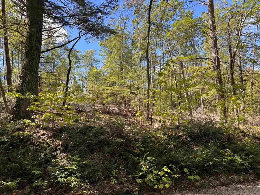 M404 L3 Taylor Hill Road, Richmond, NH 03470 - #2
