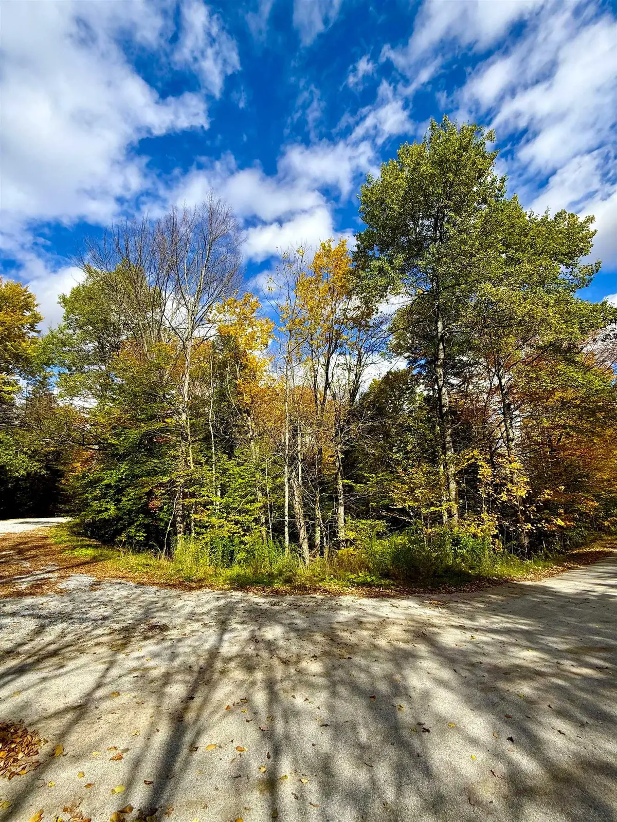 0 Okemo Way #47 & 48, Mount Holly, VT 05758 - #1