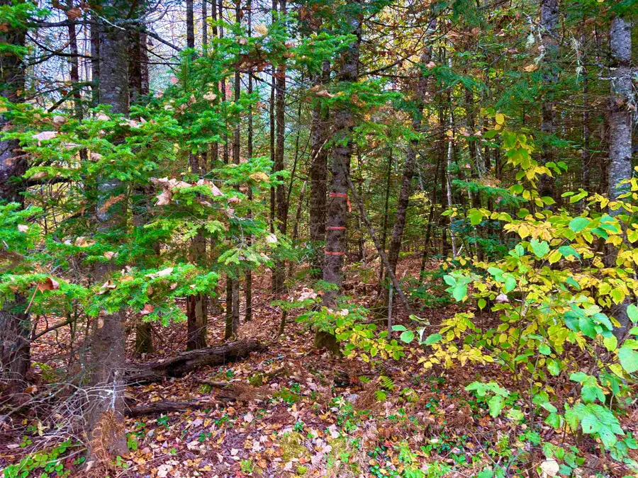 0 Riverside Avenue, Lunenburg, VT 05906 - #3