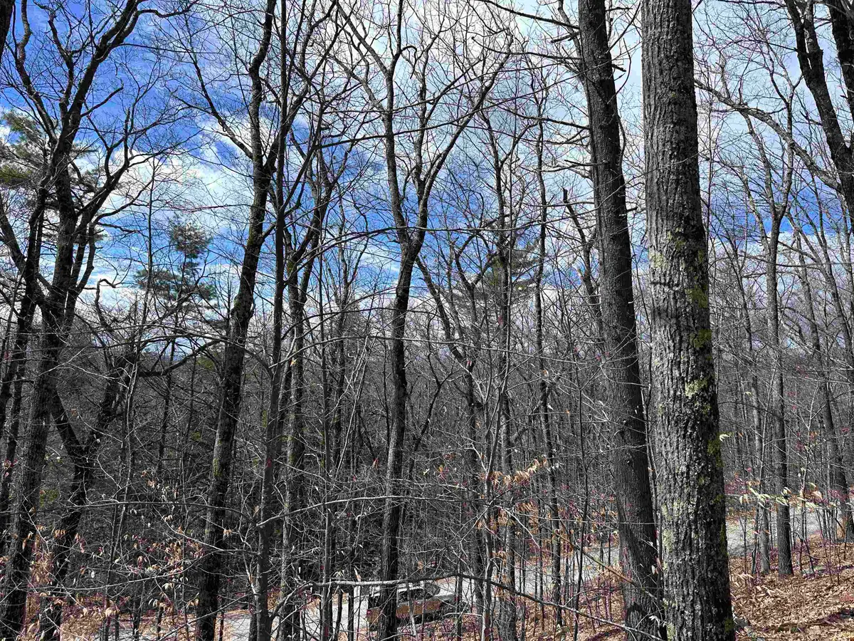 19 Saint Moritz Drive, Madison, NH 03849 - #1