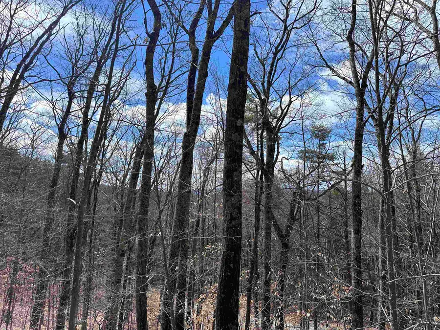 19 Saint Moritz Drive, Madison, NH 03849 - #3