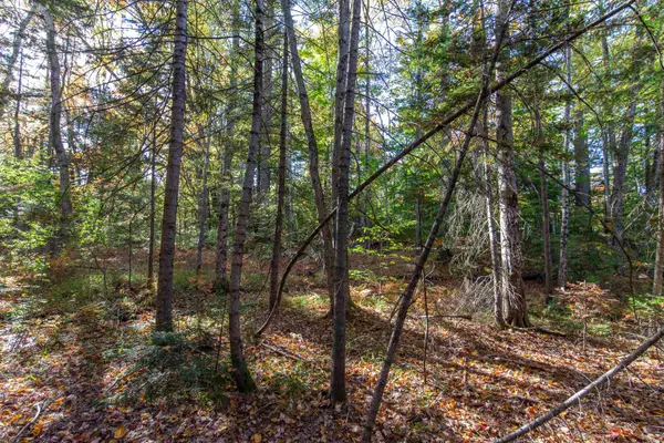 Map 401 Lot 3 Chocorua Mountain Highway, Tamworth, NH 03875