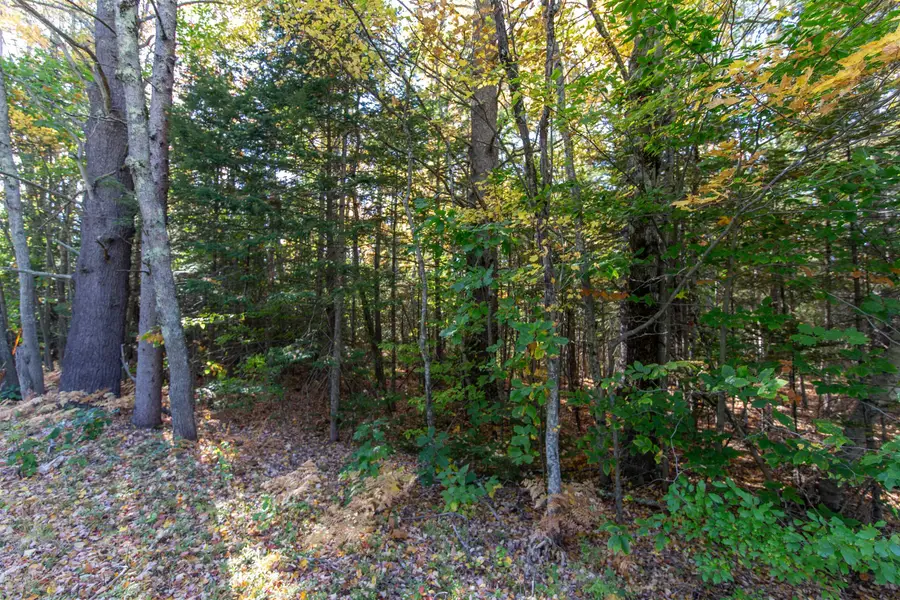 Map 401 Lot 3 Chocorua Mountain Highway, Tamworth, NH 03875 - #2