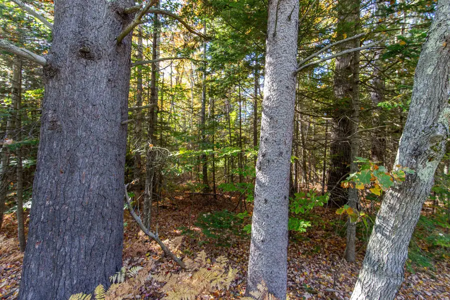 Map 401 Lot 3 Chocorua Mountain Highway, Tamworth, NH 03875 - #3