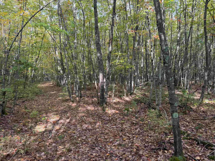 49 Quinns Field, Rochester, NH 03867 - #3