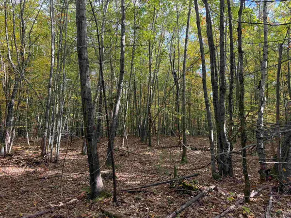 57 Quinns Field, Rochester, NH 03867