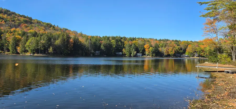 1155 Goose Pond Road, Canaan, NH 03741 - #2