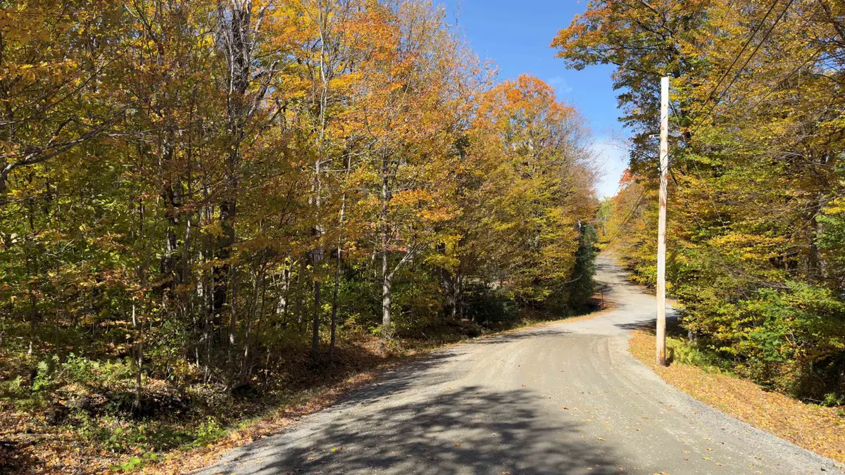 11 Ledge Road, Dover, VT 05356 - #1