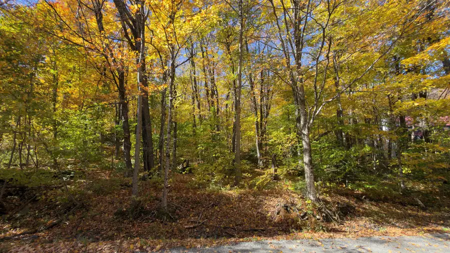 11 Ledge Road, Dover, VT 05356 - #2