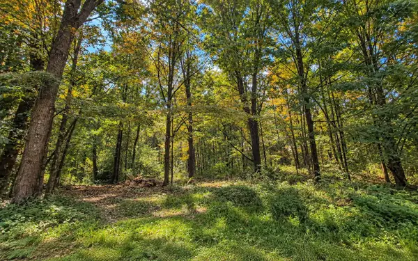 Lot 2 MA-41, Richmond, MA 01254