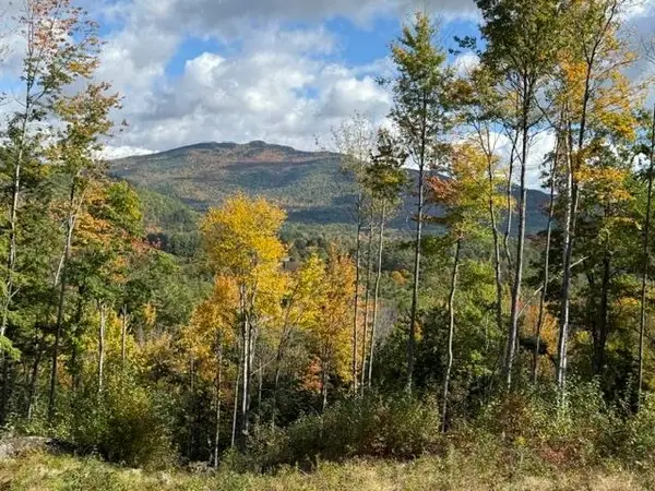50 Jacob Hall Farm Road #Lot 8, Rumney, NH 03266