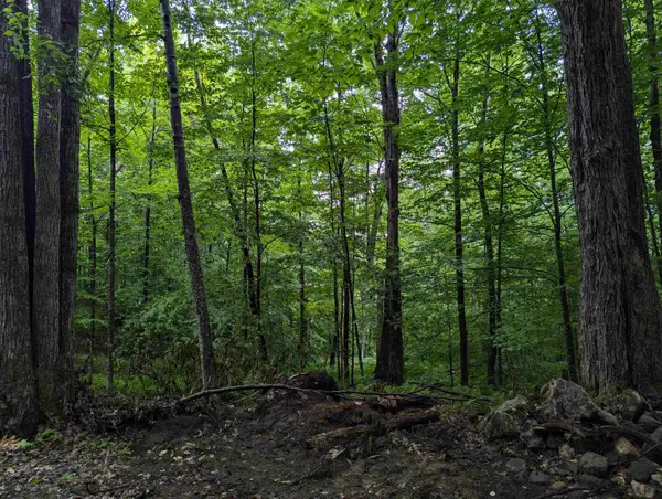 0 Dover Road #Lot 4, Newfane, VT 05351
