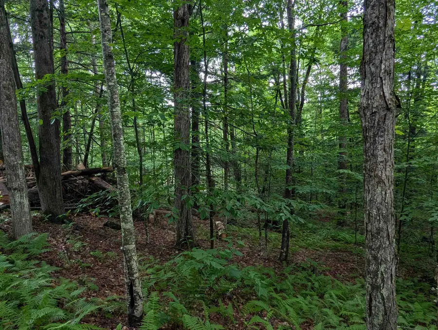 0 Dover Road #Lot 4, Williamsville, VT 05351 - #3