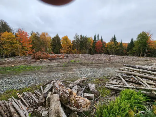 0 Sunset Drive #Lot 1, Morgan, VT 05853
