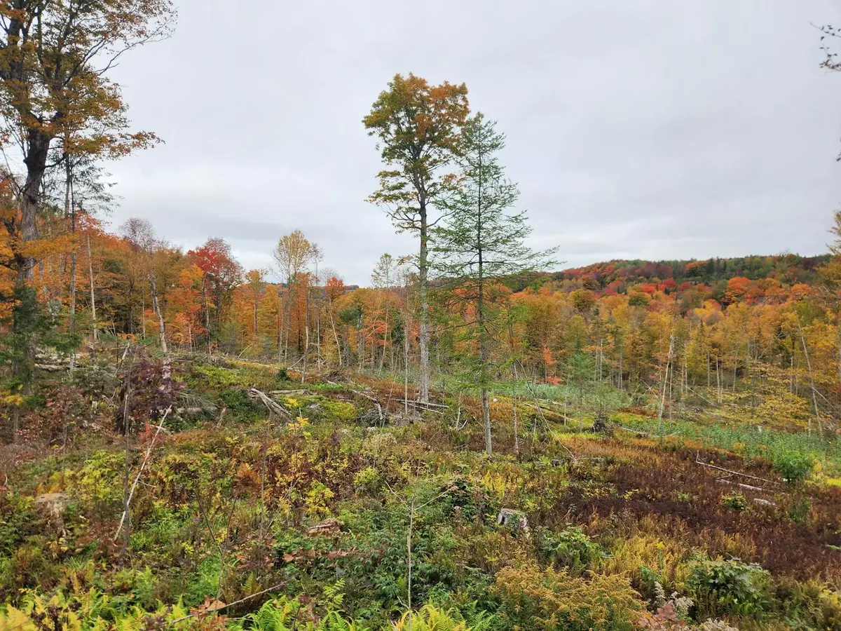 0 Sunset Drive #3, Morgan, VT 05853 - #1