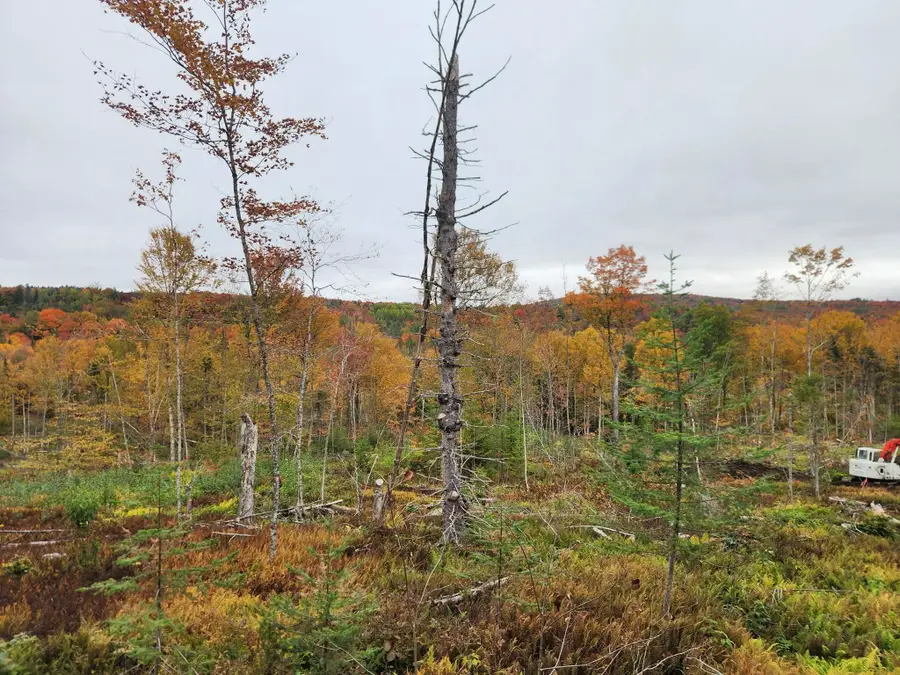 0 Sunset Drive #3, Morgan, VT 05853 - #2