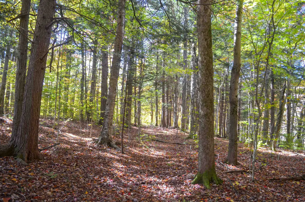 0 Burdock Lane #7, Ludlow, VT 05149 - #1