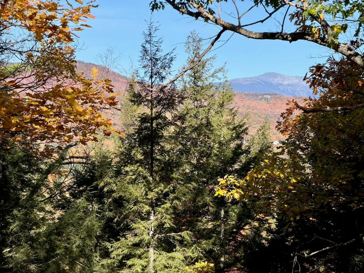 515 West Side Road, Bartlett, NH 03812 - #1