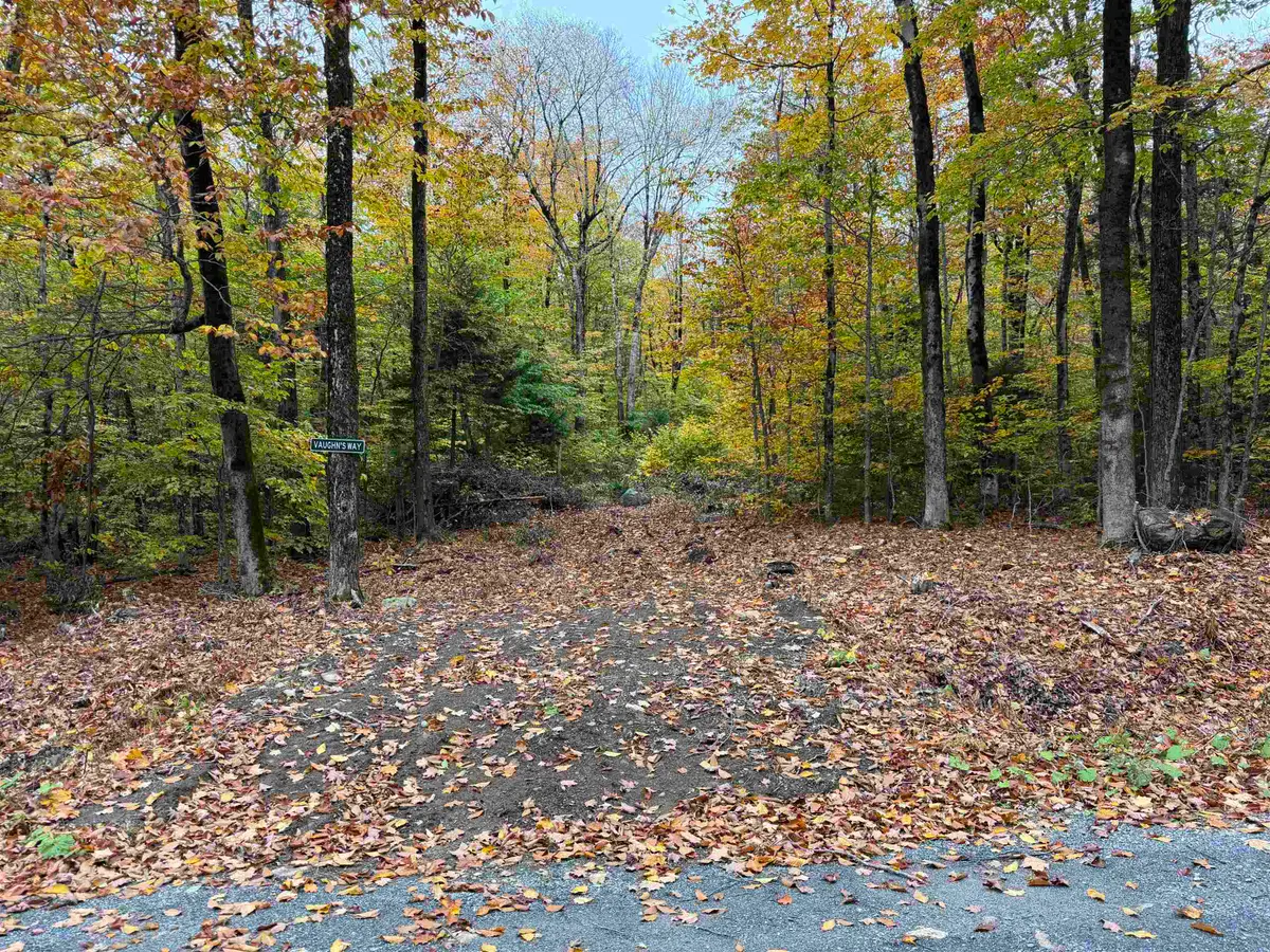 LOT 354 Oberhugel Road, Stamford, VT 05352 - #1