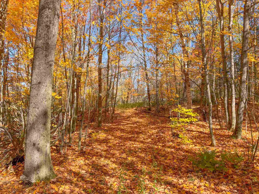 176 Private 1 Road, Vershire, VT 05079 - #2