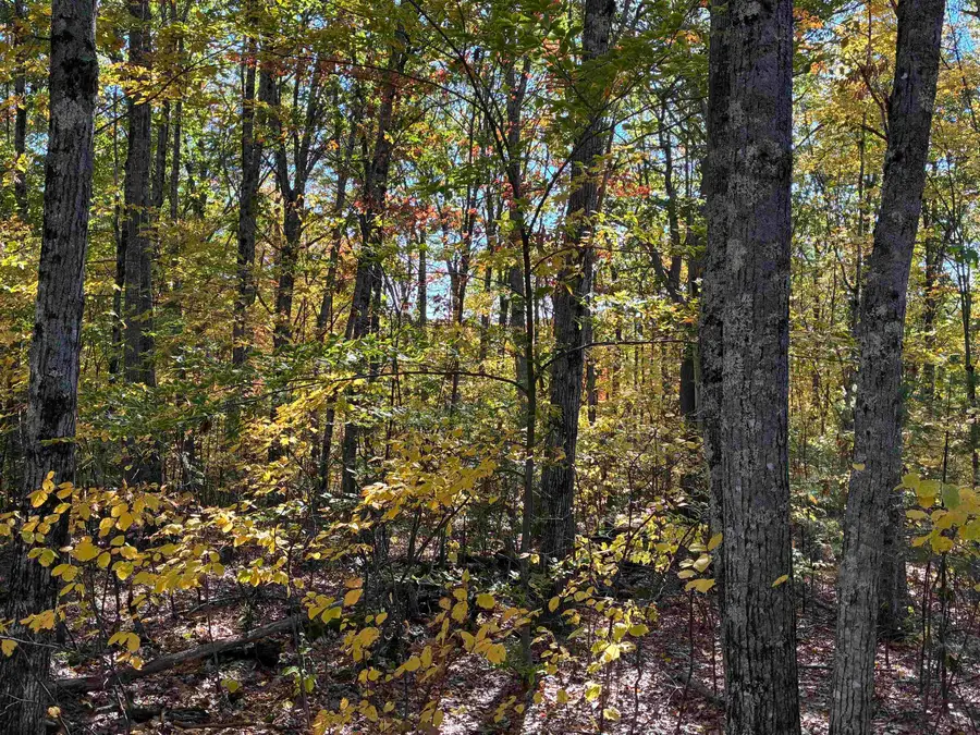 00 Redding Lane, Moultonborough, NH 03254 - #3
