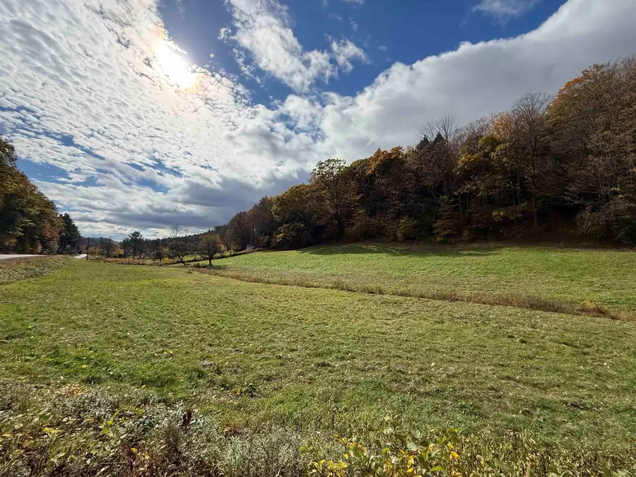711 Chester Road, Grafton, VT 05146 - #3