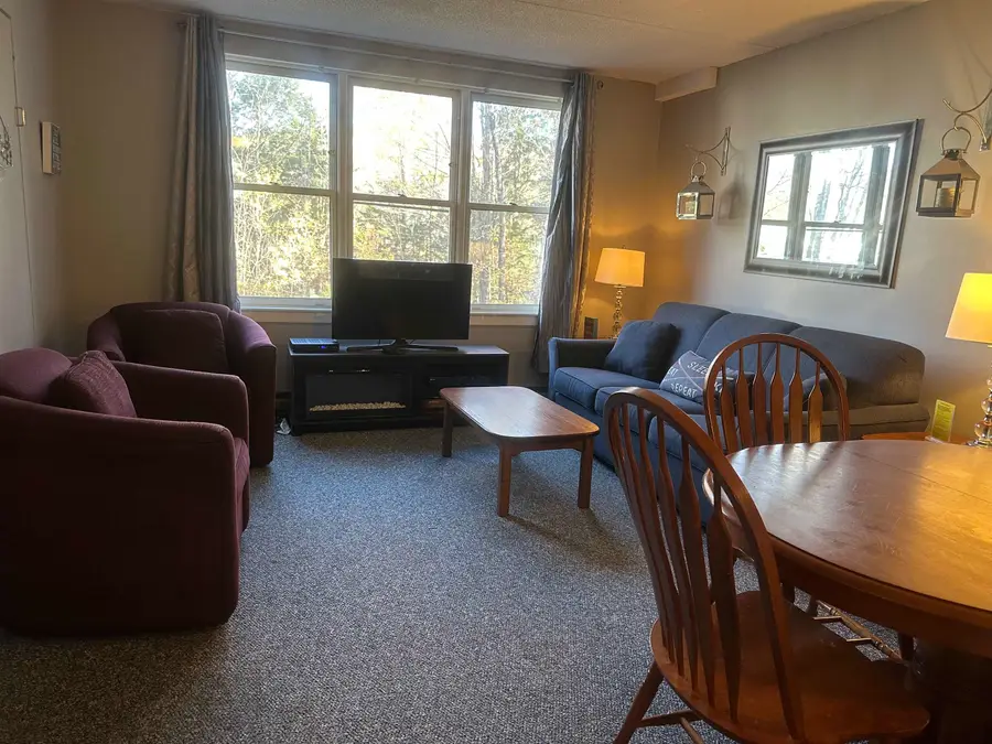 28 Packard's Road #216, Waterville Valley, NH 03215 - #3