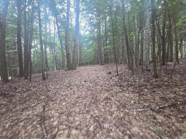 Map 09 Lot 30 Gould Pond Road, Hillsborough, NH 03244 - #1