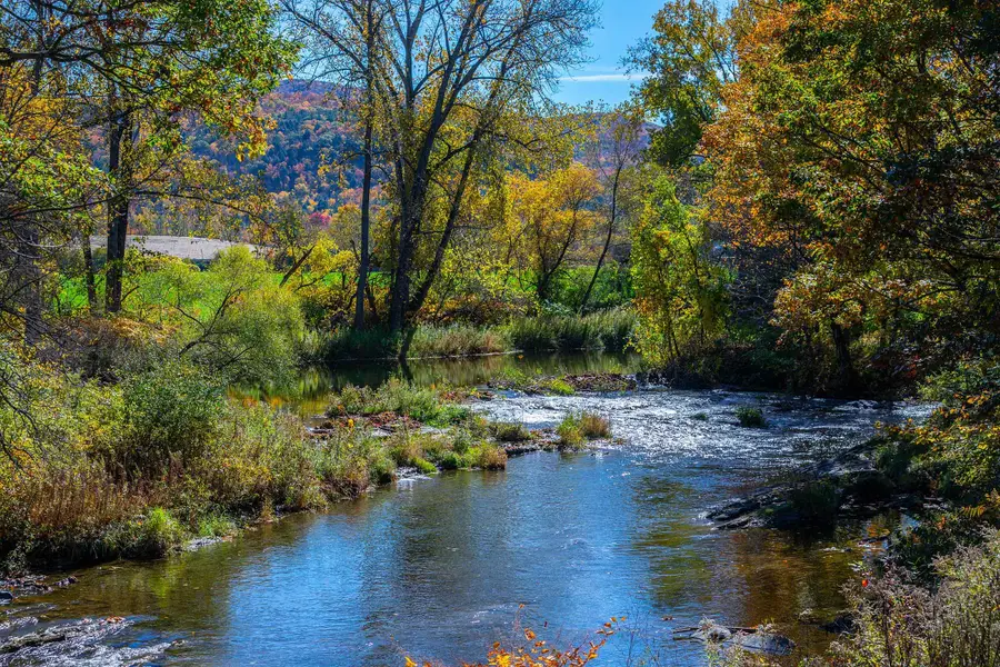 235 Button Falls Road, Pawlet, VT 05775 - #2