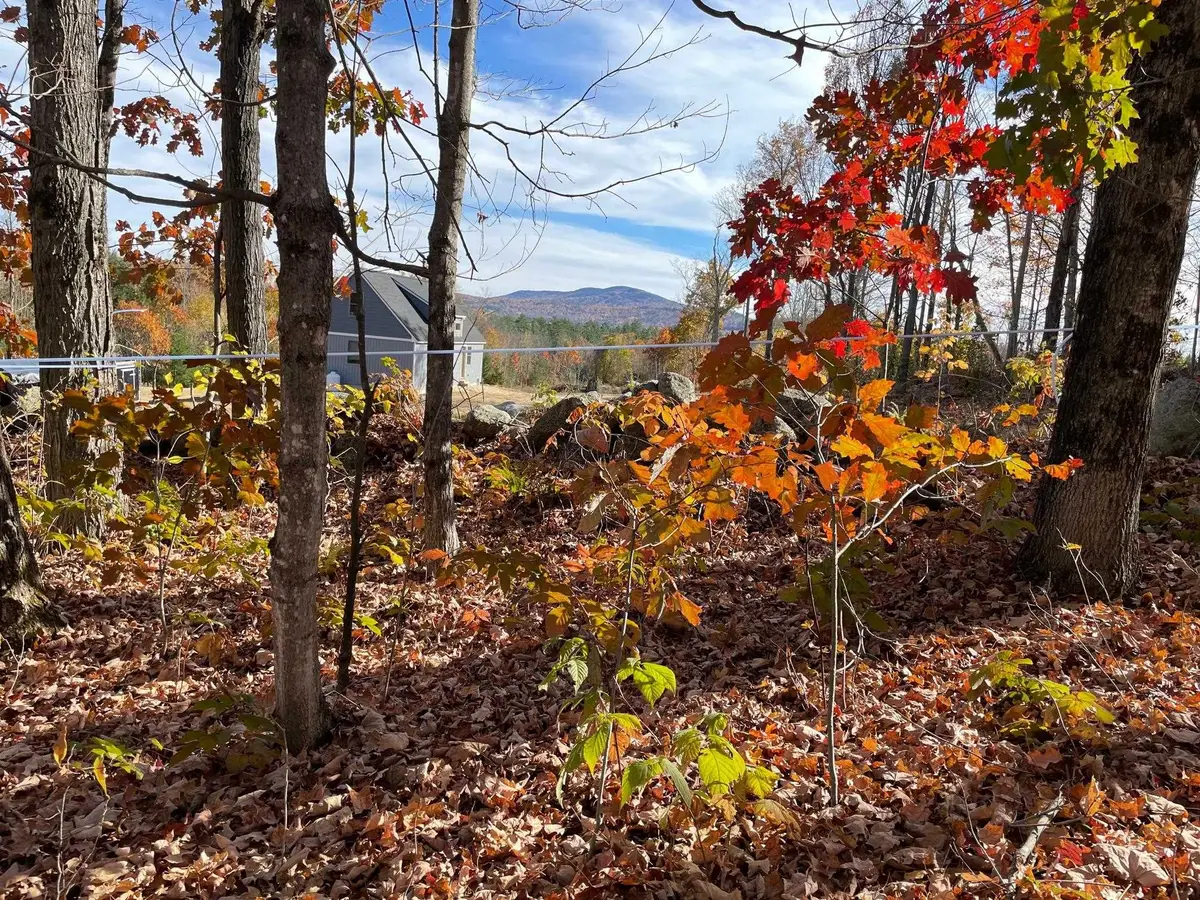 00 Turner Hill Road, Antrim, NH 03440 - #1