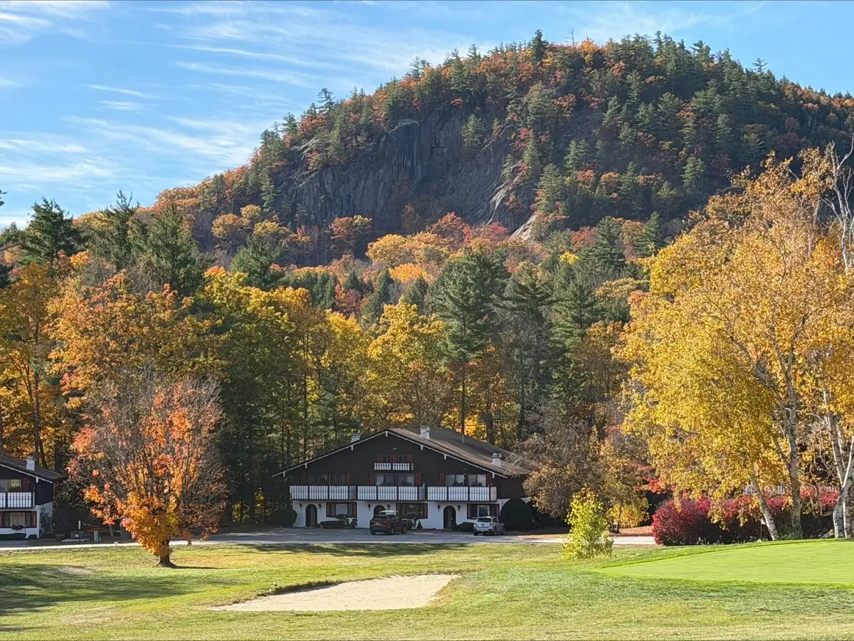 48 Linderhof Golf Course Road #1, Bartlett, NH 03838 - #1
