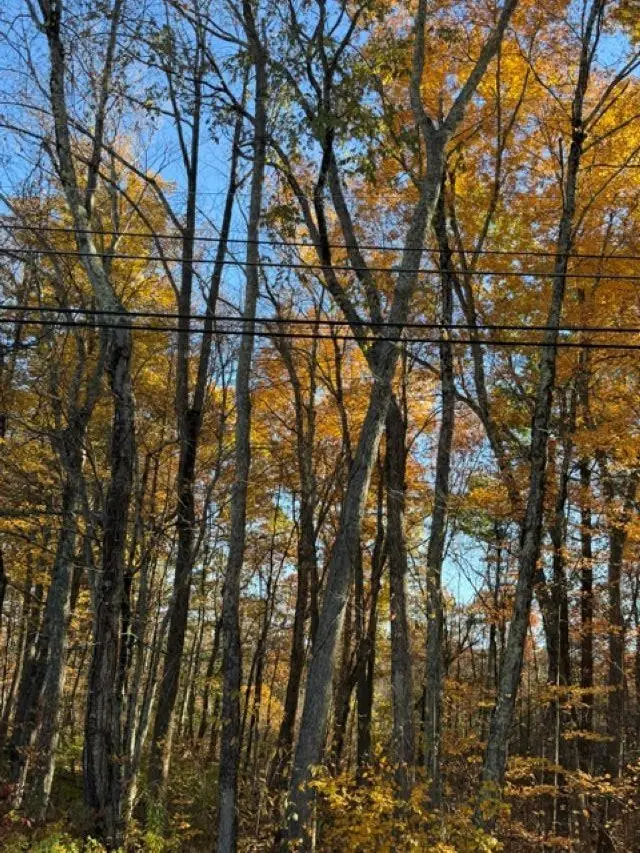 0 Hall Farm Road, Atkinson, NH 03811 - #1