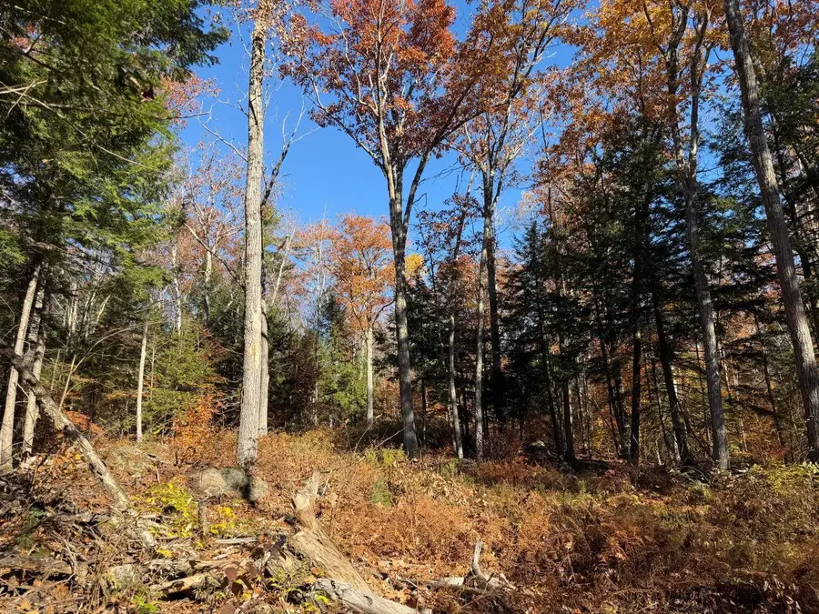 0 Town Farm Road, Stoddard, NH 03464 - #2