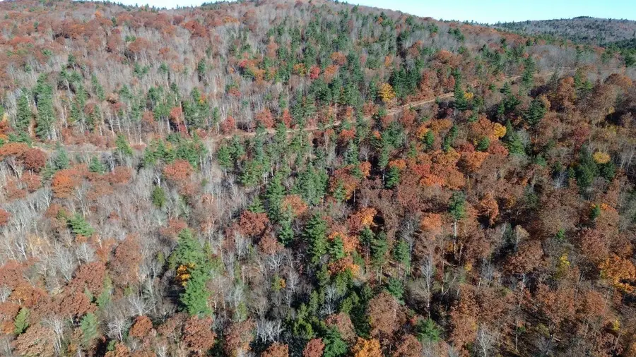 0 Town Farm Road, Stoddard, NH 03464 - #3