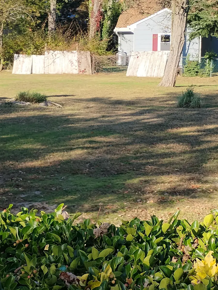 19 E Wilde Avenue, Villas, NJ 08251 - Image #2