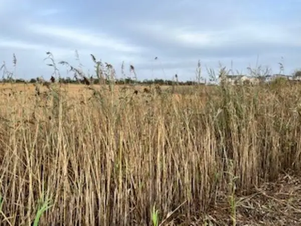 W Memphis Avenue, Lower Township, NJ 08260