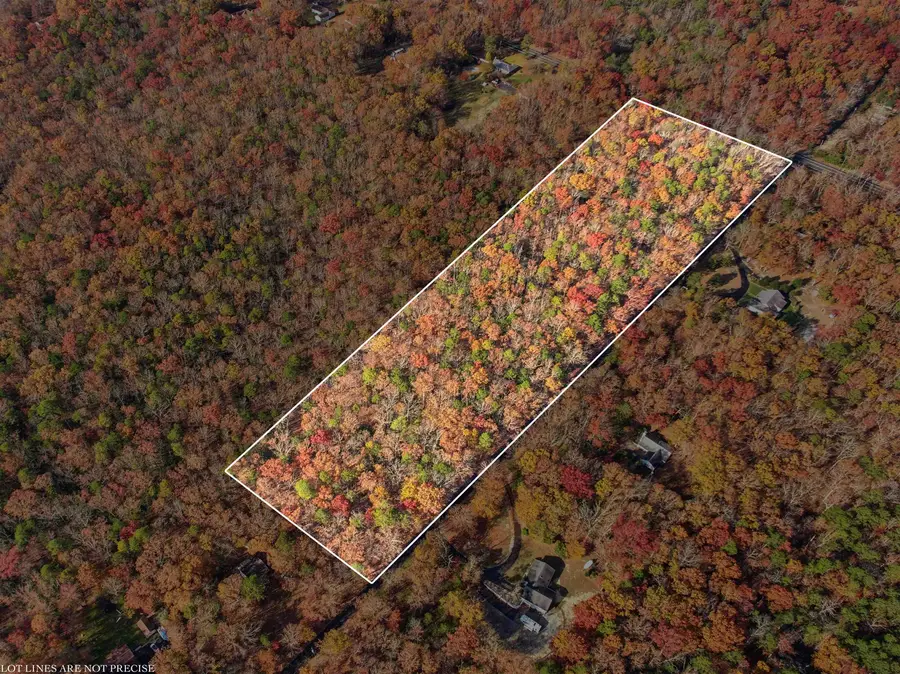 Rt 50 and Cedar, Hamilton, NJ 08330 - Image #3