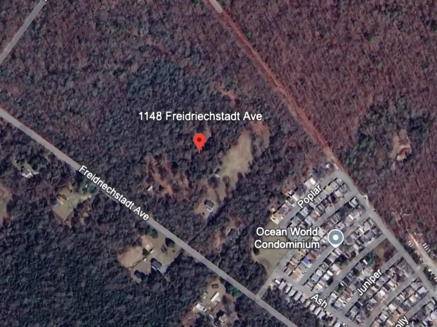 1148 Freidriechstadt Avenue, Woodbine, NJ 08270 - #3