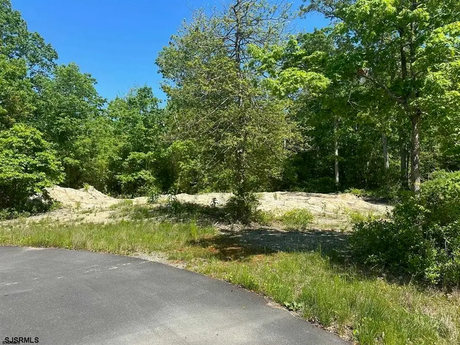 102 Whitman Lane, Tuckahoe, NJ 08270 - #3