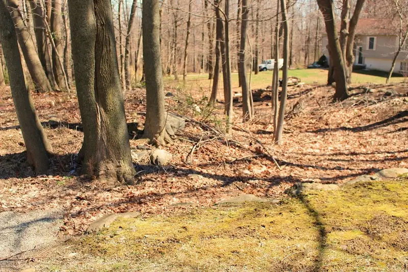 556 Glen Rd, Sparta, NJ 07871 - #3