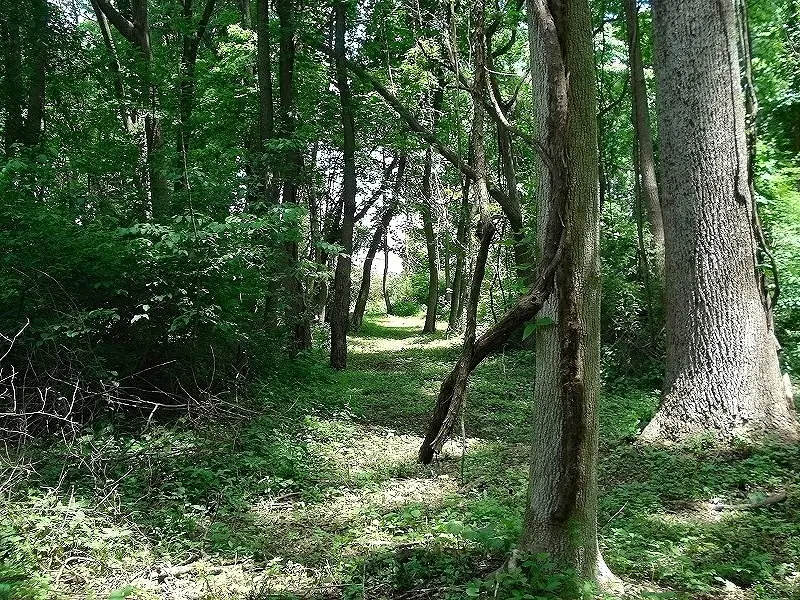 0 Mellicks Woods Rd, Pohatcong, NJ 08804 - #3