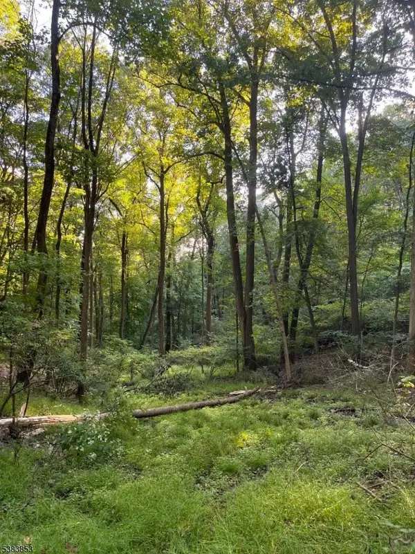 N/A Gravel Hill, Holland Twp., NJ 08848