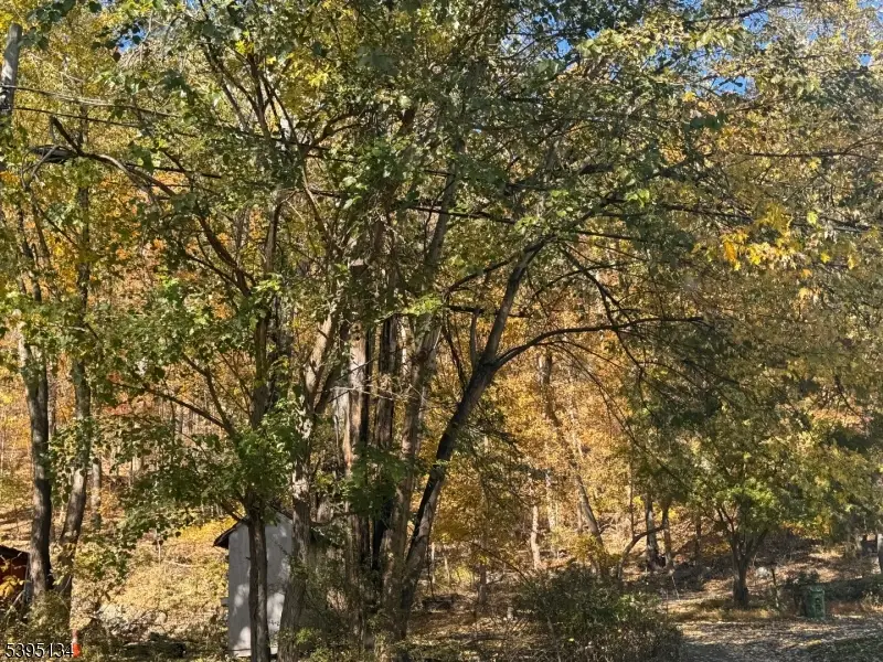 3 Rock N Wood, White, NJ 07823 - Image #2