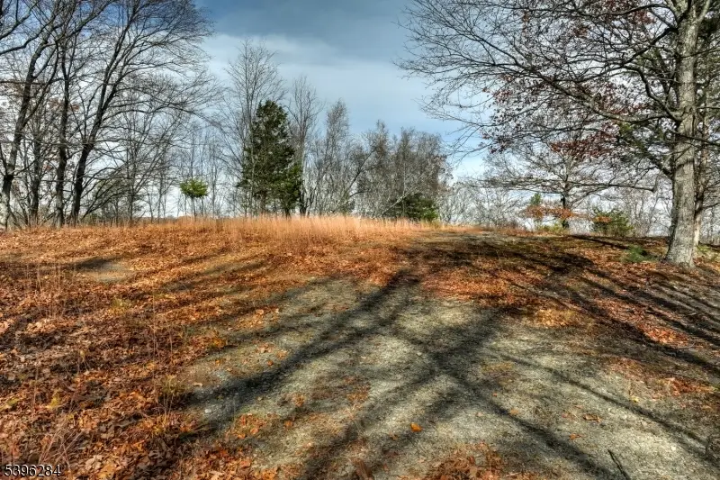 0 No Brook Lake Tr, Stillwater, NJ 07860 - Image #2